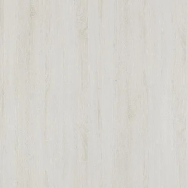 冰島白橡