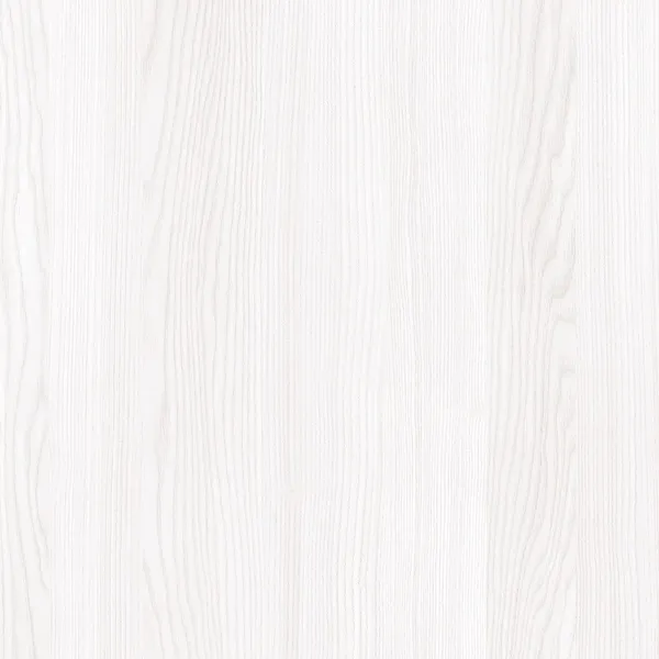 瑞典白榆