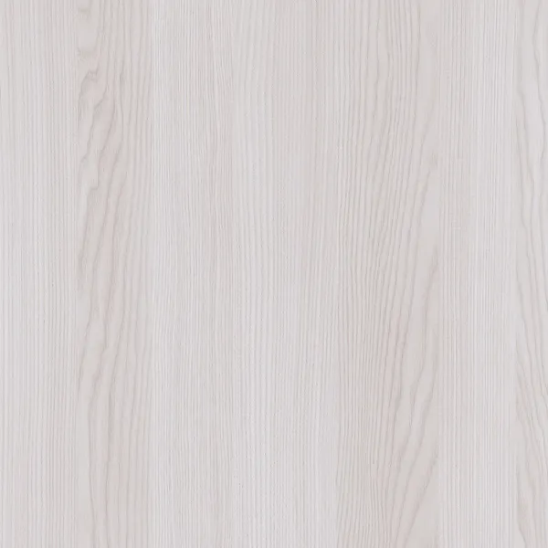 瑞典灰榆