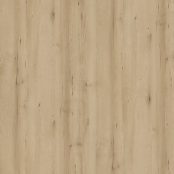 斯堪迪克山毛櫸
